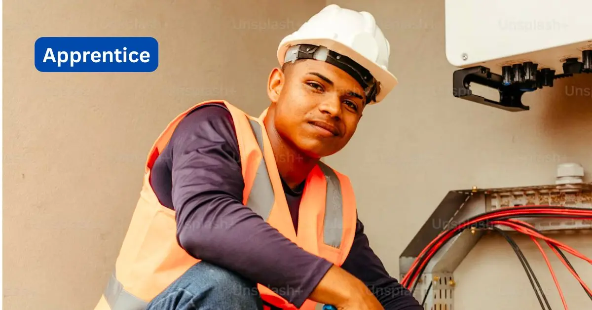 Hindustan Copper Apprentice Vacancy 2025: अपरेंटिस पदों पर निकली भर्तियां, 8वीं पास को मौका